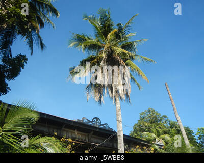 01155 Poblacion Old Houses San Vicente San Miguel Bulacan Bulacan  05 Stock Photo