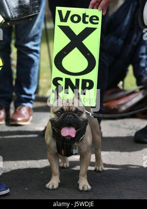 Angus the dog joins SNP supporters as they wait for Alex Salmond to arrive on the General Election campaign trail in Edinburgh. Stock Photo