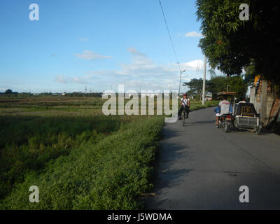 0349 Barangay Batia Bocaue Bulacan Fields Roads  08 Stock Photo