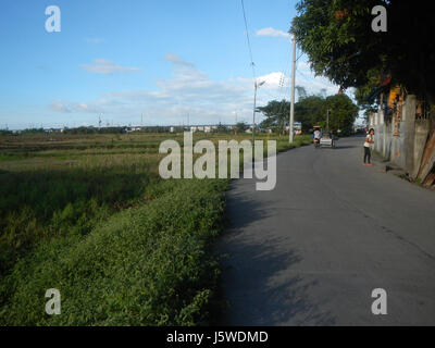 0349 Barangay Batia Bocaue Bulacan Fields Roads  09 Stock Photo