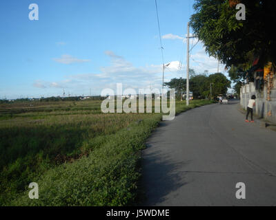 0349 Barangay Batia Bocaue Bulacan Fields Roads  10 Stock Photo