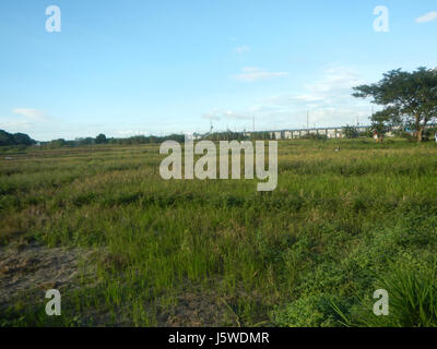 0349 Barangay Batia Bocaue Bulacan Fields Roads  19 Stock Photo