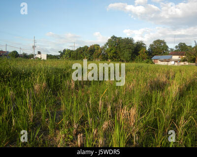 0427 Barangay Batia Bocaue Bulacan Fields Roads  04 Stock Photo