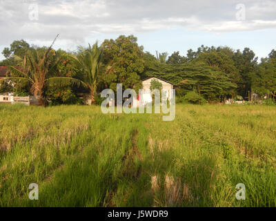 0427 Barangay Batia Bocaue Bulacan Fields Roads  08 Stock Photo