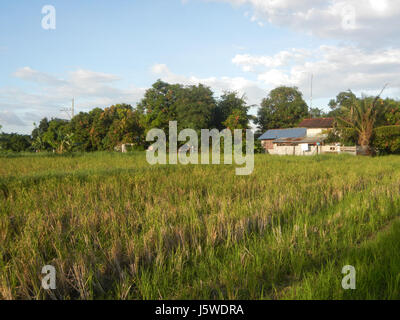 0427 Barangay Batia Bocaue Bulacan Fields Roads  09 Stock Photo