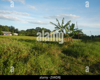 0427 Barangay Batia Bocaue Bulacan Fields Roads  17 Stock Photo