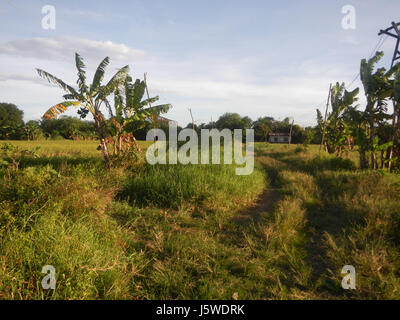 0427 Barangay Batia Bocaue Bulacan Fields Roads  18 Stock Photo