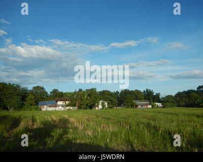 0427 Barangay Batia Bocaue Bulacan Fields Roads  20 Stock Photo