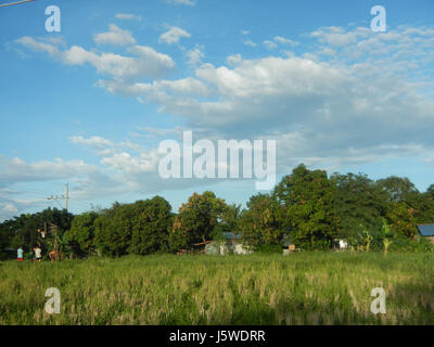 0427 Barangay Batia Bocaue Bulacan Fields Roads  22 Stock Photo