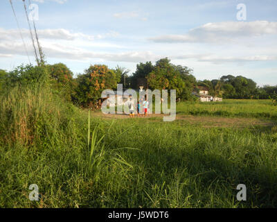 0452 Barangay Batia Bocaue Bulacan Fields Roads  08 Stock Photo