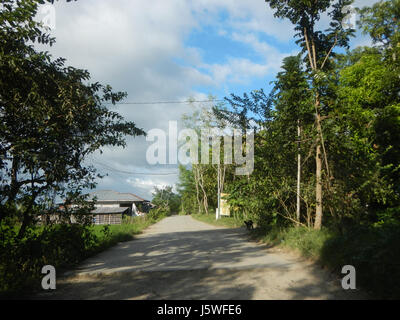 Silang Tree This photograph depicts the rural landscape of Bagong Silang in San ...