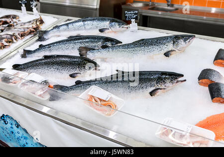 Samara, Russia - May 09, 2017: Salmon fish are frozen with ice for sale in the supermarket Magnit. One of largest food retailer in Russia Stock Photo