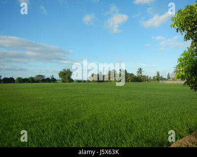 02872 Balante Boulevard Gapan City Fields Trees Roads  01 Stock Photo