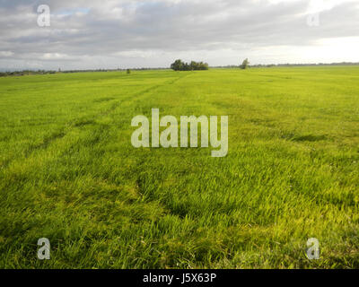 02872 Balante Boulevard Gapan City Fields Trees Roads  04 Stock Photo