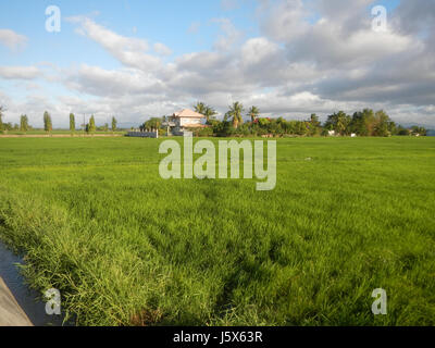 02872 Balante Boulevard Gapan City Fields Trees Roads  05 Stock Photo