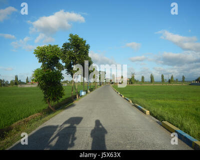 02872 Balante Boulevard Gapan City Fields Trees Roads  08 Stock Photo