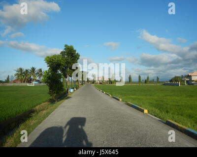 02872 Balante Boulevard Gapan City Fields Trees Roads  14 Stock Photo