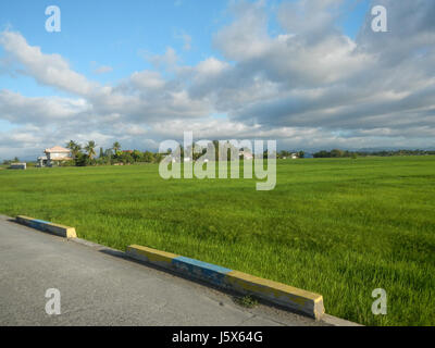 02872 Balante Boulevard Gapan City Fields Trees Roads  24 Stock Photo