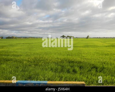 02872 Balante Boulevard Gapan City Fields Trees Roads  25 Stock Photo