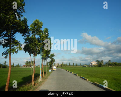 02872 Balante Boulevard Gapan City Fields Trees Roads  27 Stock Photo