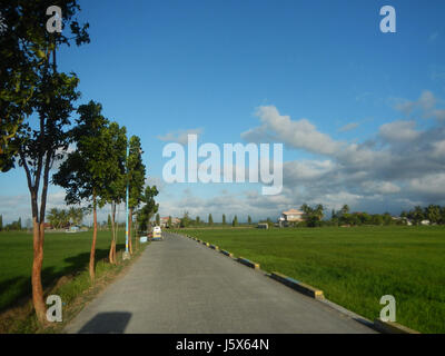 02872 Balante Boulevard Gapan City Fields Trees Roads  29 Stock Photo