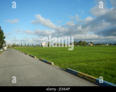 02872 Balante Boulevard Gapan City Fields Trees Roads  30 Stock Photo