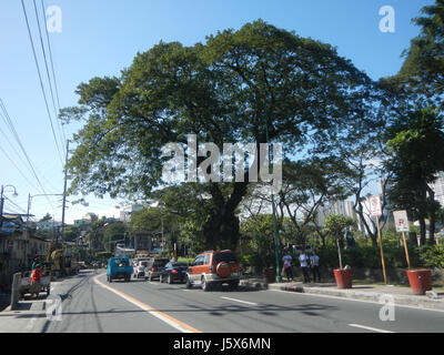 0291 Pasig River Park Cembo West Rembo Makati City J. P. Rizal Street  13 Stock Photo