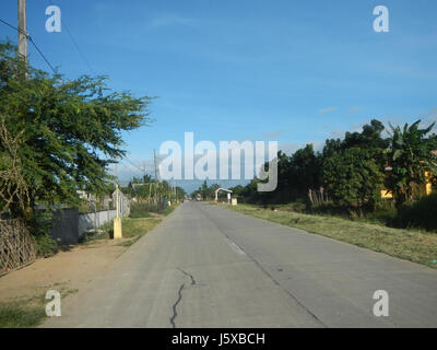 04682 Paddy fields Salapungan Roads Magumbali Candaba Pampanga  02 Stock Photo