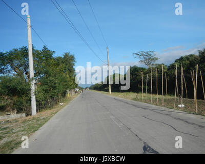 04682 Paddy fields Salapungan Roads Magumbali Candaba Pampanga  09 Stock Photo