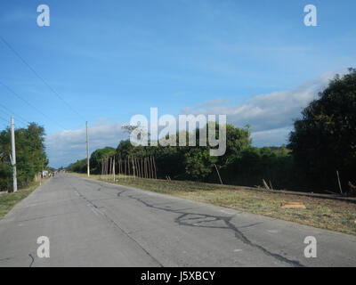 04682 Paddy fields Salapungan Roads Magumbali Candaba Pampanga  11 Stock Photo