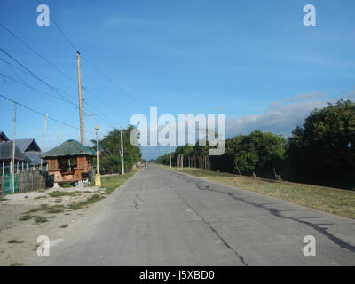 04682 Paddy fields Salapungan Roads Magumbali Candaba Pampanga  12 Stock Photo