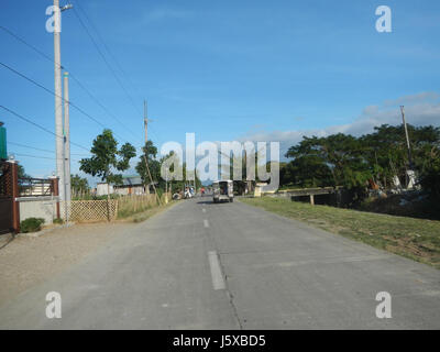 04682 Paddy fields Salapungan Roads Magumbali Candaba Pampanga  17 Stock Photo