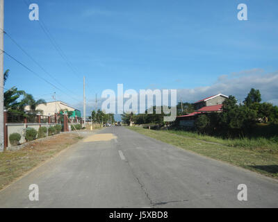 04682 Paddy fields Salapungan Roads Magumbali Candaba Pampanga  20 Stock Photo