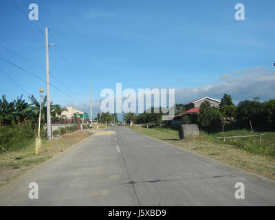 04682 Paddy fields Salapungan Roads Magumbali Candaba Pampanga  21 Stock Photo