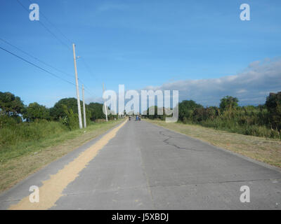 04682 Paddy fields Salapungan Roads Magumbali Candaba Pampanga  29 Stock Photo