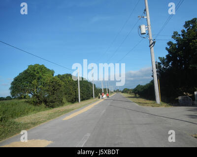 04682 Paddy fields Salapungan Roads Magumbali Candaba Pampanga  34 Stock Photo