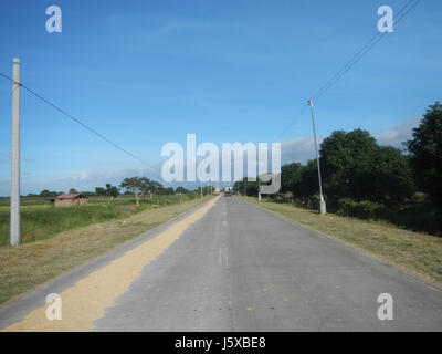 04731 Paddy fields Salapungan Roads Magumbali Candaba Pampanga  11 Stock Photo