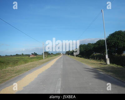 04731 Paddy fields Salapungan Roads Magumbali Candaba Pampanga  13 Stock Photo