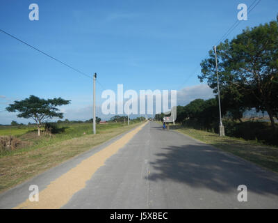 04731 Paddy fields Salapungan Roads Magumbali Candaba Pampanga  15 Stock Photo