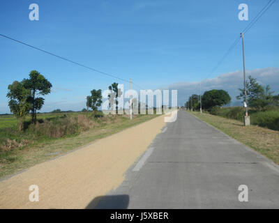 04731 Paddy fields Salapungan Roads Magumbali Candaba Pampanga  24 Stock Photo
