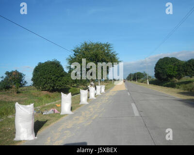 04731 Paddy fields Salapungan Roads Magumbali Candaba Pampanga  26 Stock Photo