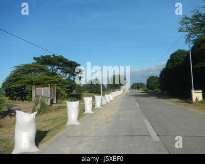 04731 Paddy fields Salapungan Roads Magumbali Candaba Pampanga  28 Stock Photo