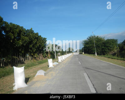 04731 Paddy fields Salapungan Roads Magumbali Candaba Pampanga  31 Stock Photo