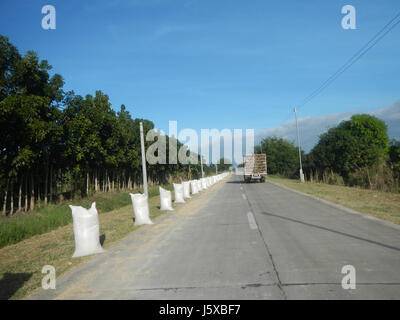 04731 Paddy fields Salapungan Roads Magumbali Candaba Pampanga  34 Stock Photo