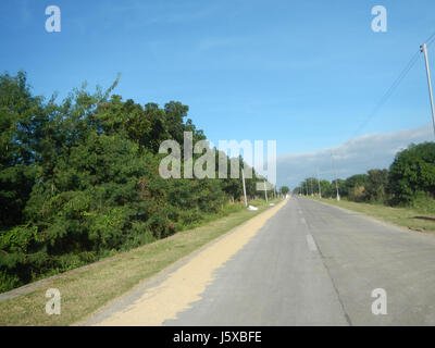 04776 Paddy fields Salapungan Roads Magumbali Candaba Pampanga  04 Stock Photo