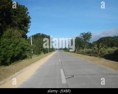 04776 Paddy fields Salapungan Roads Magumbali Candaba Pampanga  08 Stock Photo
