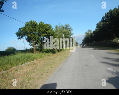 04776 Paddy fields Salapungan Roads Magumbali Candaba Pampanga  16 Stock Photo