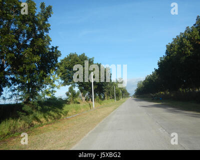 04776 Paddy fields Salapungan Roads Magumbali Candaba Pampanga  19 Stock Photo