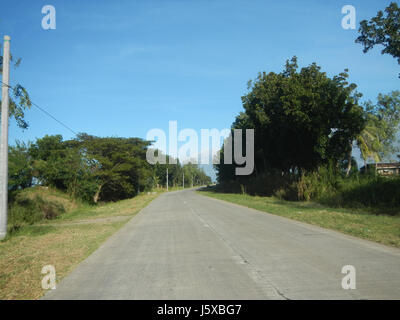 04776 Paddy fields Salapungan Roads Magumbali Candaba Pampanga  23 Stock Photo