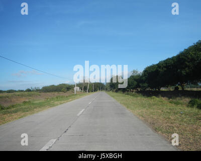 04776 Paddy fields Salapungan Roads Magumbali Candaba Pampanga  32 Stock Photo